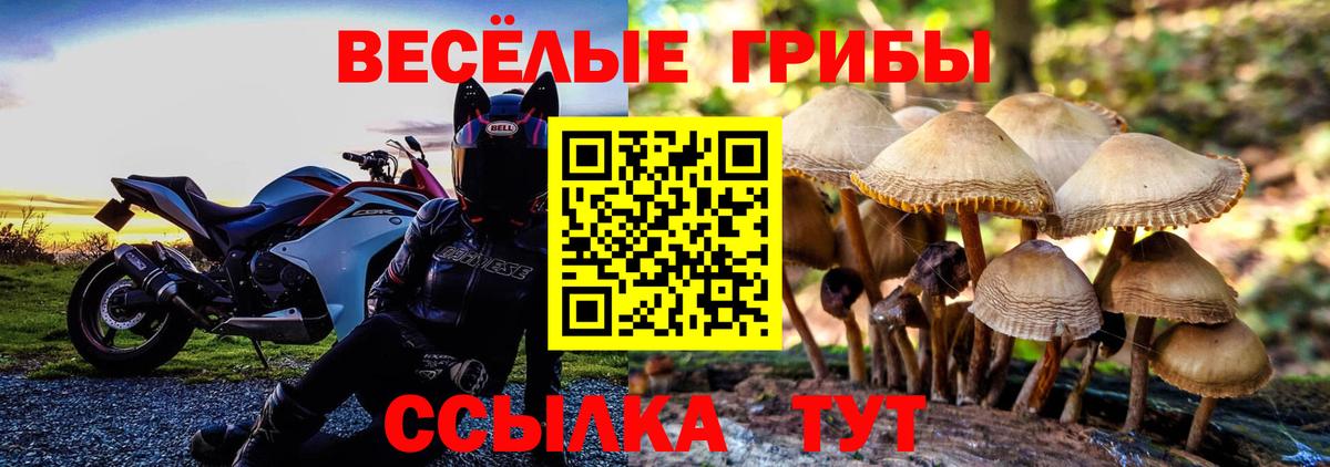 Можга  Псилоцибиновые грибы Magic Shrooms  Вход с VPN 