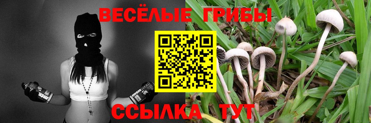 ГАШ  Вход с VPN  Бошки Шишки  Можга  Меф МЯУ МЯУ кристаллы  Кокаин  Метамфетамин 